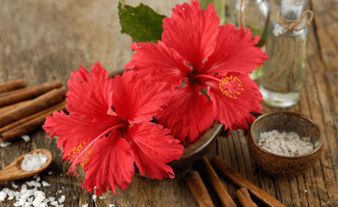 hibiscus flowers