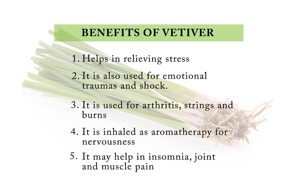 benefits of vetiver